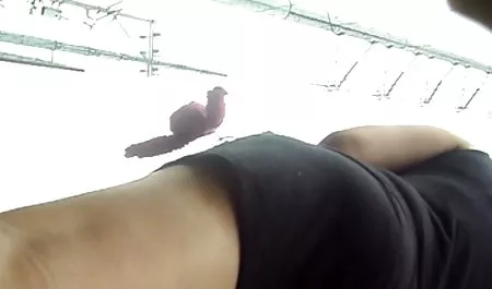 યો જીલ-N-થી - smatret porn તો પછી વાહિયાત