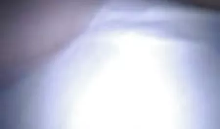 વાહિયાત Sluts ટોરોન્ટો ઓનલાઇન જુઓ વીડિયો
